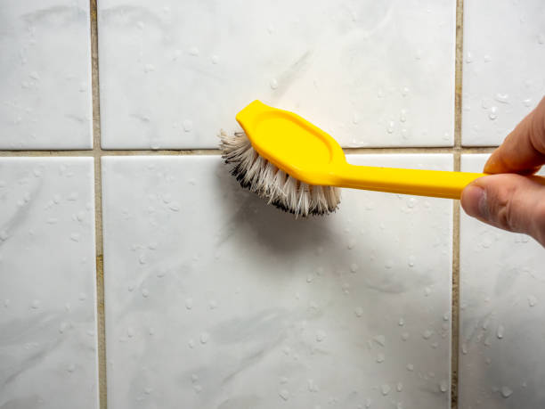  Moodys, OK Mold Removal Pros