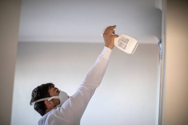 Best DIY Mold Remediation Support Services in Moodys, OK