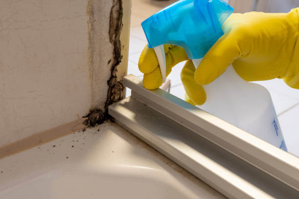 Best Mold Remediation for Specific Building Types in Moodys, OK