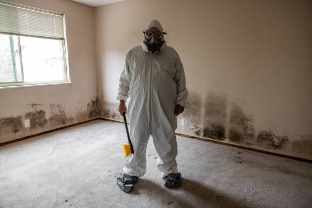 Best Preventive Mold Services in Moodys, OK